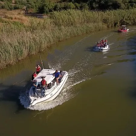 Dalmatia Quarteira